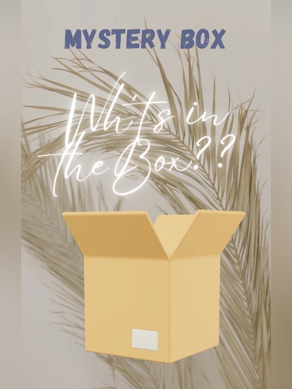 Mystery Box Curated Women’s Clothing Brand Names